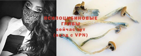 бошки Новозыбков