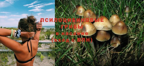бошки Новозыбков
