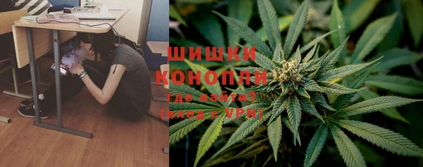 бошки Новозыбков