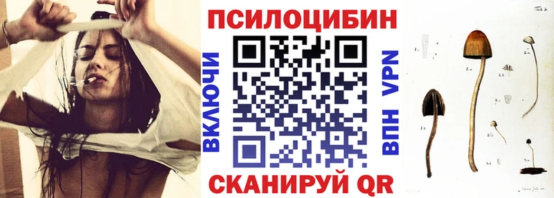 Галлюциногенные грибы MAGIC MUSHROOMS как найти Шумерля