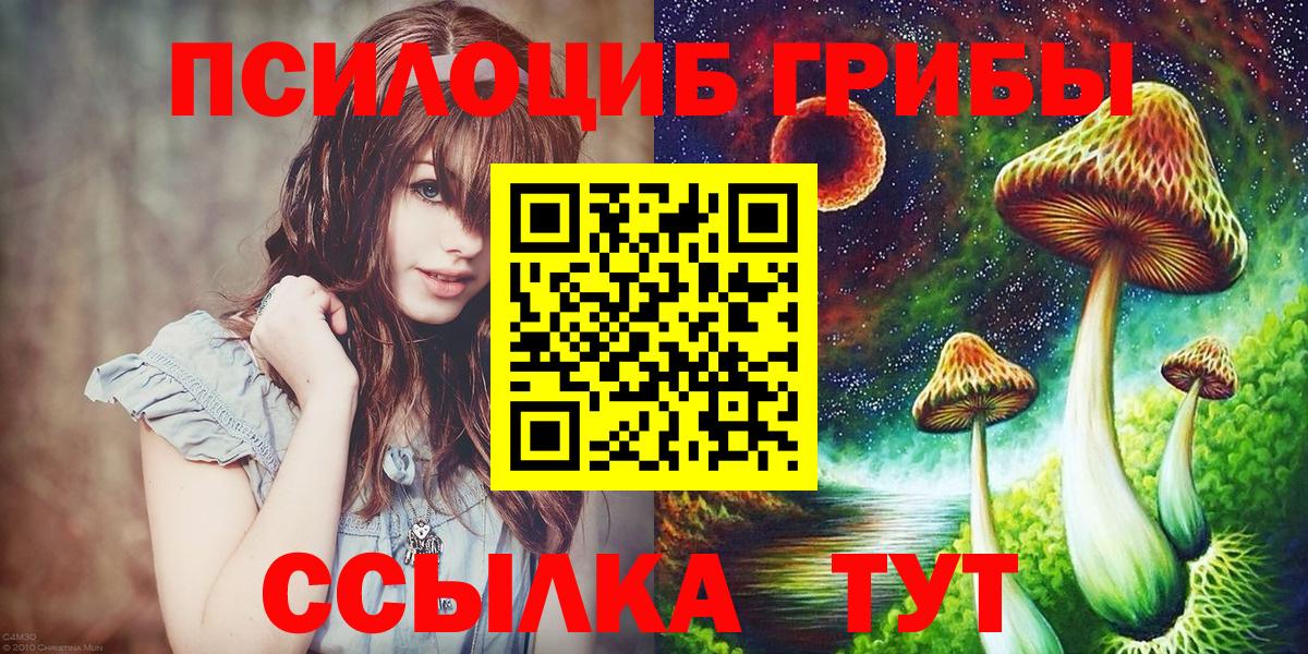 Шумерля  Галлюциногенные грибы Psilocybe  Вход с VPN  Галлюциногенные грибы GOLDEN TEACHER 