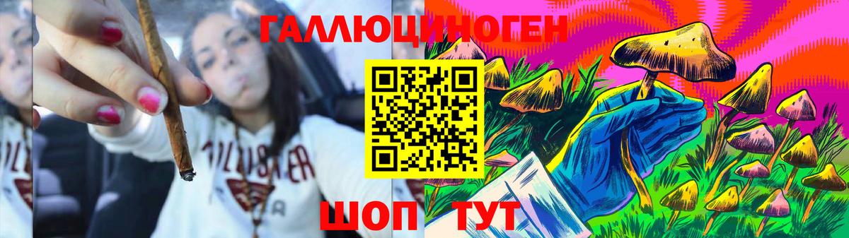 Галлюциногенные грибы прущие грибы  Шумерля  Псилоцибиновые грибы прущие грибы 